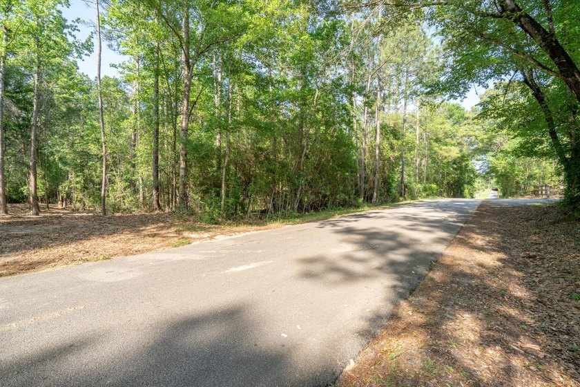 Seventy-four acres of George County timber, with a cleared spot - photo 11