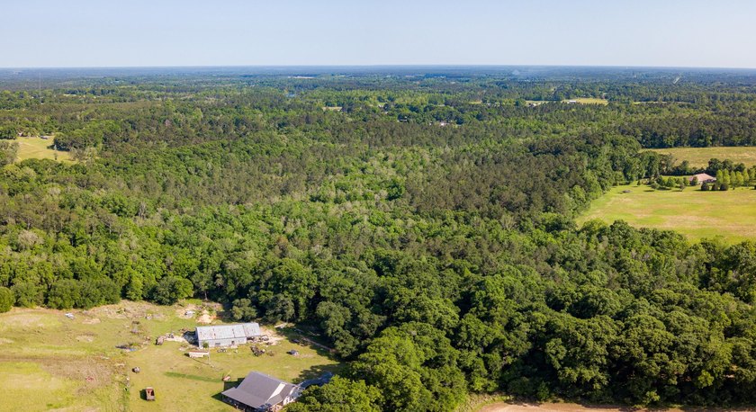 Seventy-four acres of George County timber, with a cleared spot - photo 14