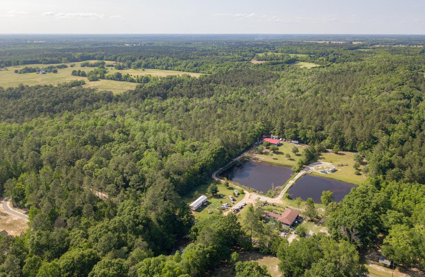 Seventy-four acres of George County timber, with a cleared spot - photo 15