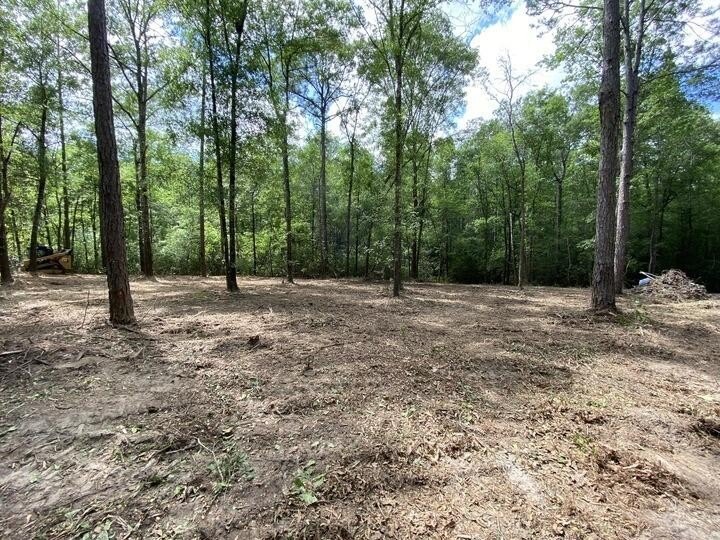 Seventy-four acres of George County timber, with a cleared spot - photo 16