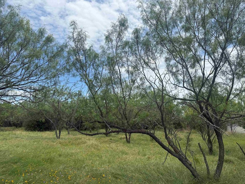 Beautiful level lot located in the desirable Horseshoe Bay West - photo 2