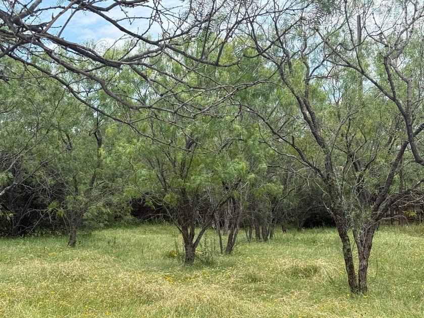 Beautiful level lot located in the desirable Horseshoe Bay West - photo 3