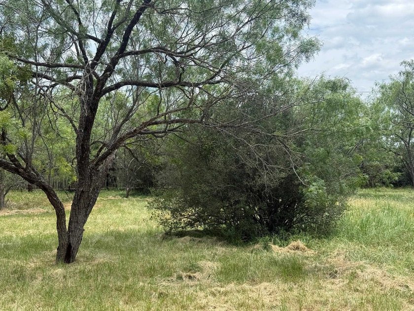 Beautiful level lot located in the desirable Horseshoe Bay West - photo 3