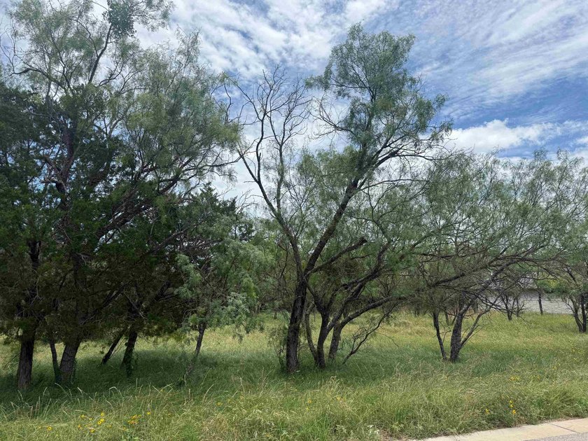 Beautiful level lot located in the desirable Horseshoe Bay West - photo 3