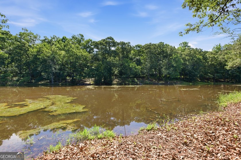 Less than a mile from Hartwell Marina and just minutes from - photo 5