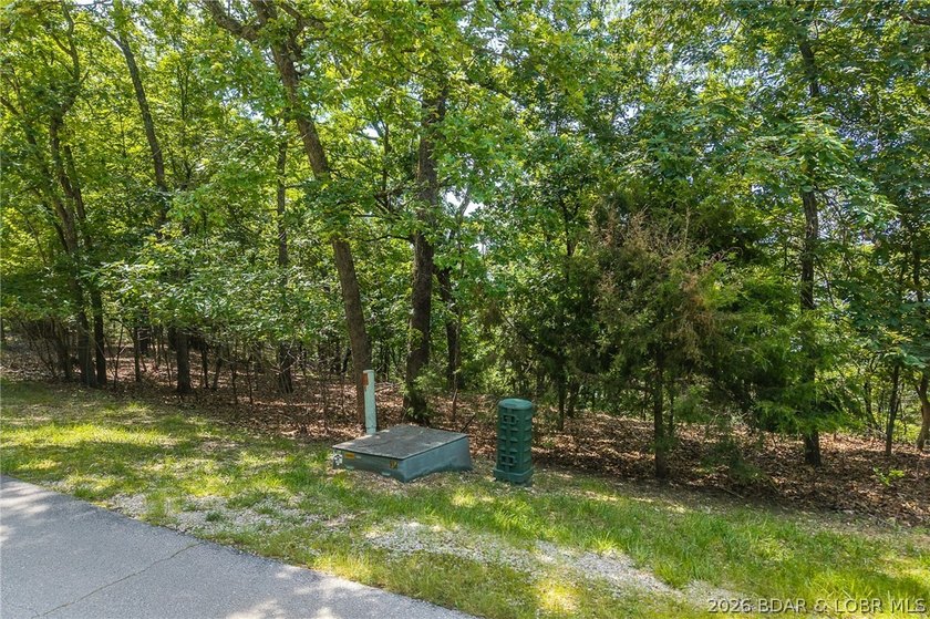 This premier Lakefront lot at The Villages at Shawnee Bend - photo 17
