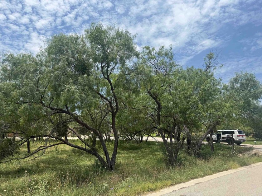 Exceptional corner lot nestled among mature trees in the - photo 3