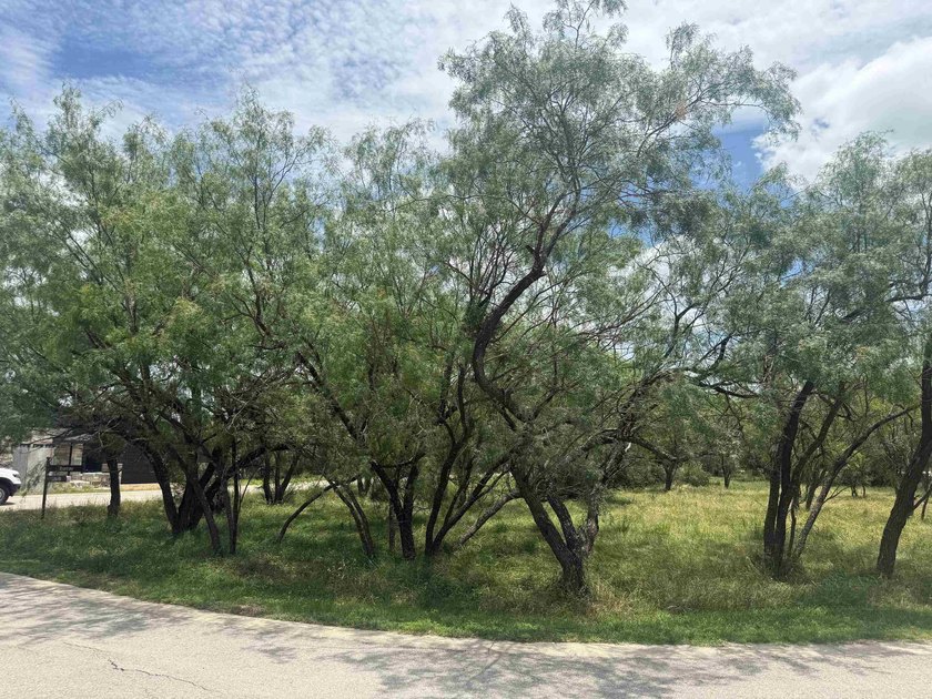 Exceptional corner lot nestled among mature trees in the - photo 4