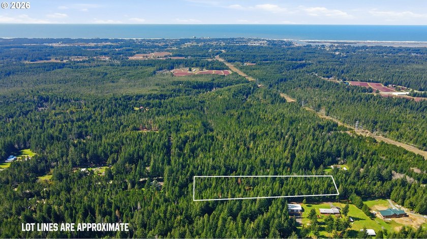 Tucked away on the east side of Bandon, this forested 5-acre - photo 2