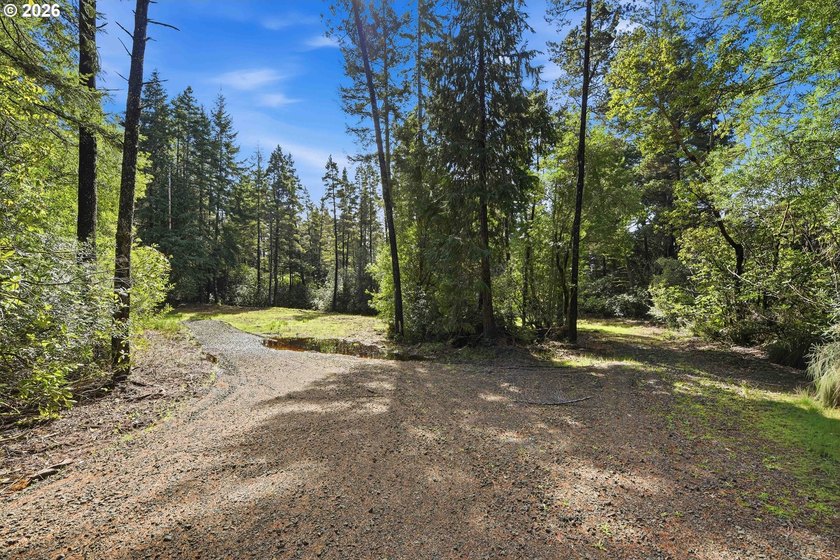 Tucked away on the east side of Bandon, this forested 5-acre - photo 3