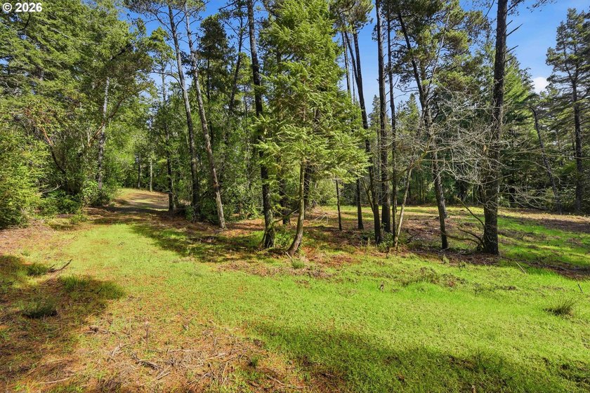 Tucked away on the east side of Bandon, this forested 5-acre - photo 8