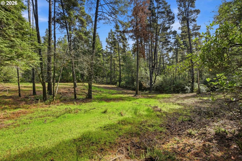 Tucked away on the east side of Bandon, this forested 5-acre - photo 9