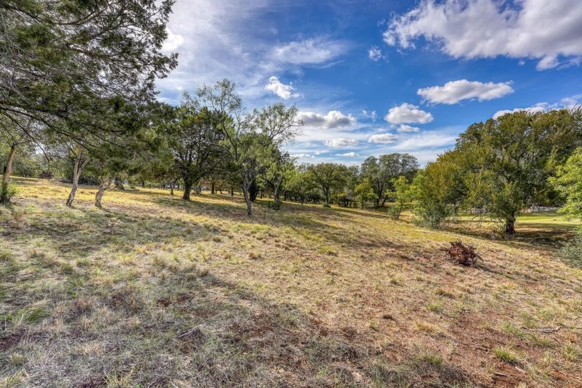 Gorgeous large lot that is fairly level with lots of trees! It - photo 8
