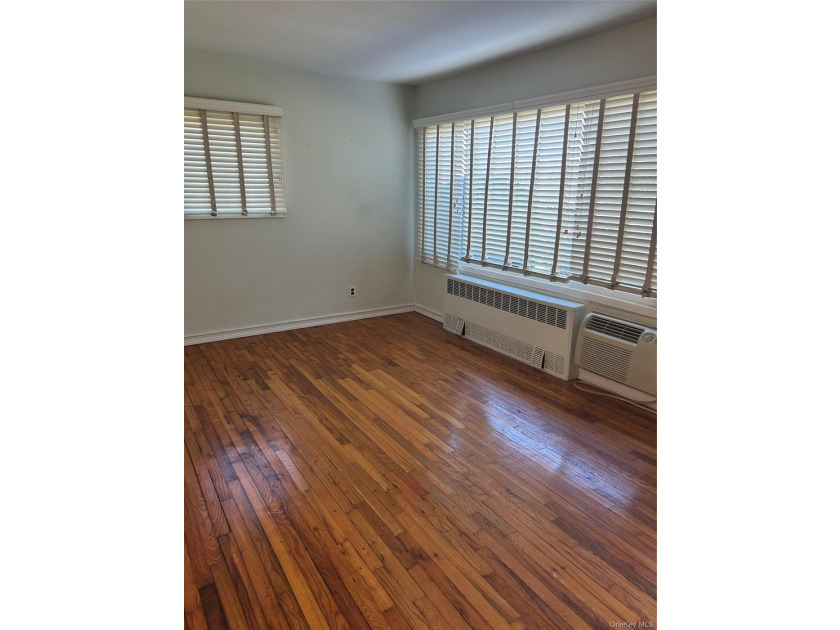 Lovely One bedroom (End Unit )Lower level Coop, Plenty of - photo 4