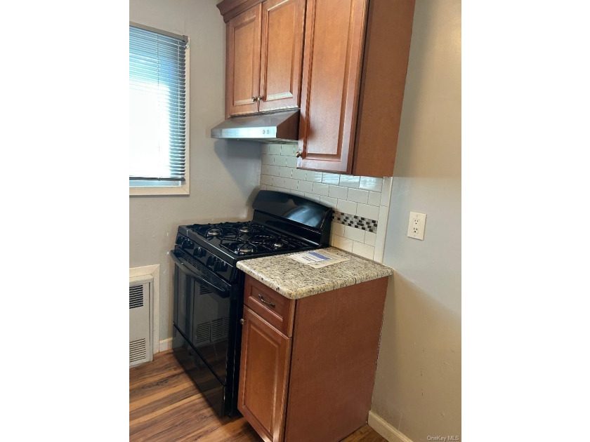 Lovely One bedroom (End Unit )Lower level Coop, Plenty of - photo 8