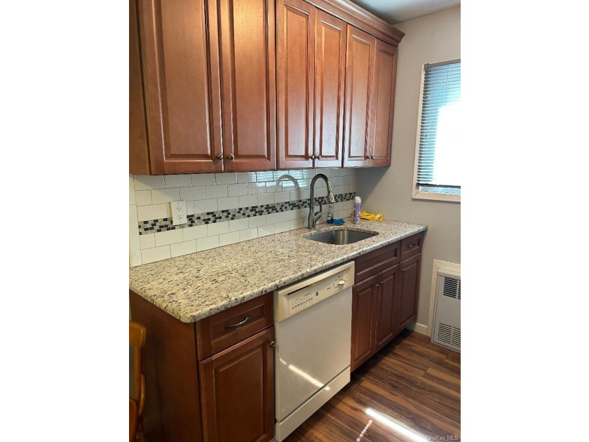 Lovely One bedroom (End Unit )Lower level Coop, Plenty of - photo 10