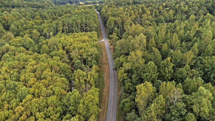 45 ACRES OF PRIME HUNTING LAND NEAR LAKE BARKLEY! Discover the - photo 13