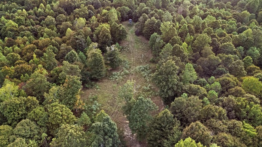 45 ACRES OF PRIME HUNTING LAND NEAR LAKE BARKLEY! Discover the - photo 15