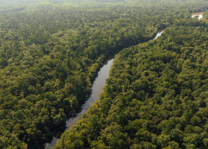 This 629+/- acre legacy tract in Greene County is a rare - photo 3