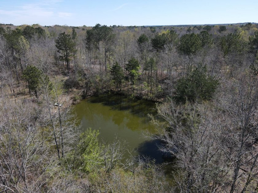 WELCOME TO THE SIMPSON 56-A PINOLA PRIVACY TRACT! This 56+/- - photo 3
