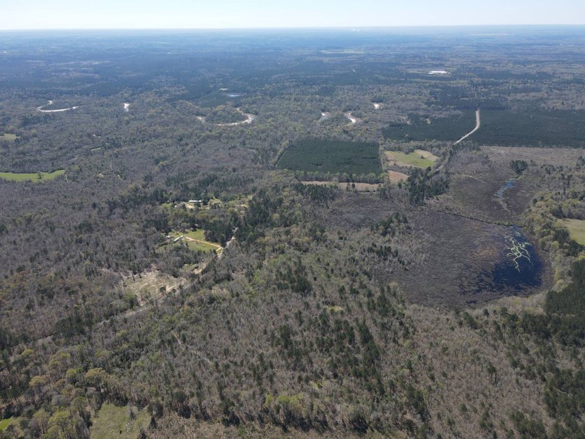WELCOME TO THE SIMPSON 56-A PINOLA PRIVACY TRACT! This 56+/- - photo 4