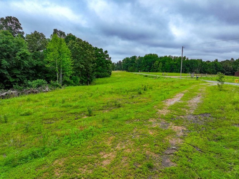 This 31.77+/- acre tract in Calloway County, Kentucky offers an - photo 3