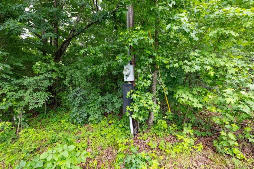 This 31.77+/- acre tract in Calloway County, Kentucky offers an - photo 4
