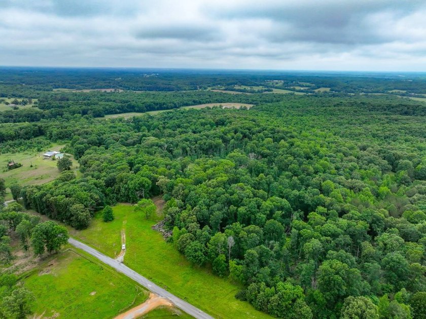 This 31.77+/- acre tract in Calloway County, Kentucky offers an - photo 7