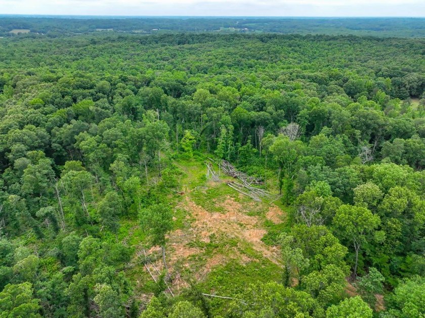 This 31.77+/- acre tract in Calloway County, Kentucky offers an - photo 8