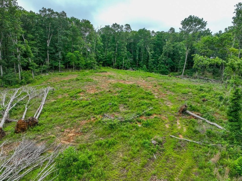 This 31.77+/- acre tract in Calloway County, Kentucky offers an - photo 9