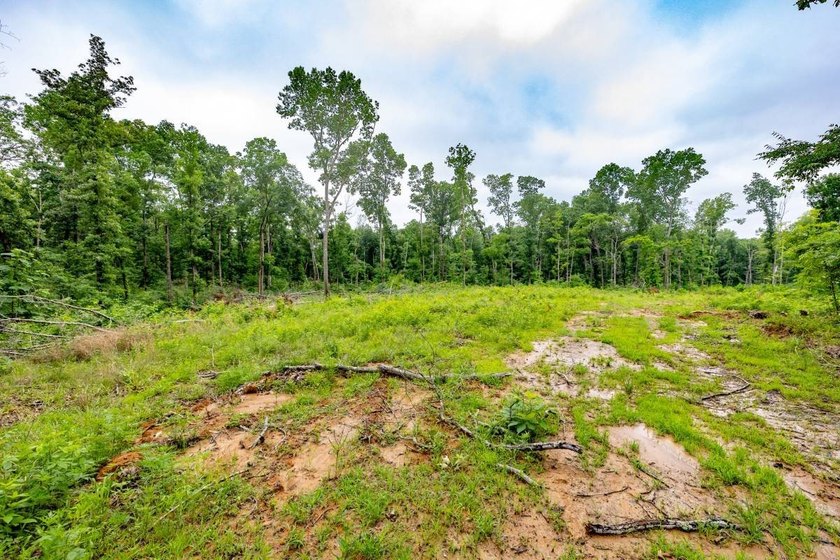 This 31.77+/- acre tract in Calloway County, Kentucky offers an - photo 10
