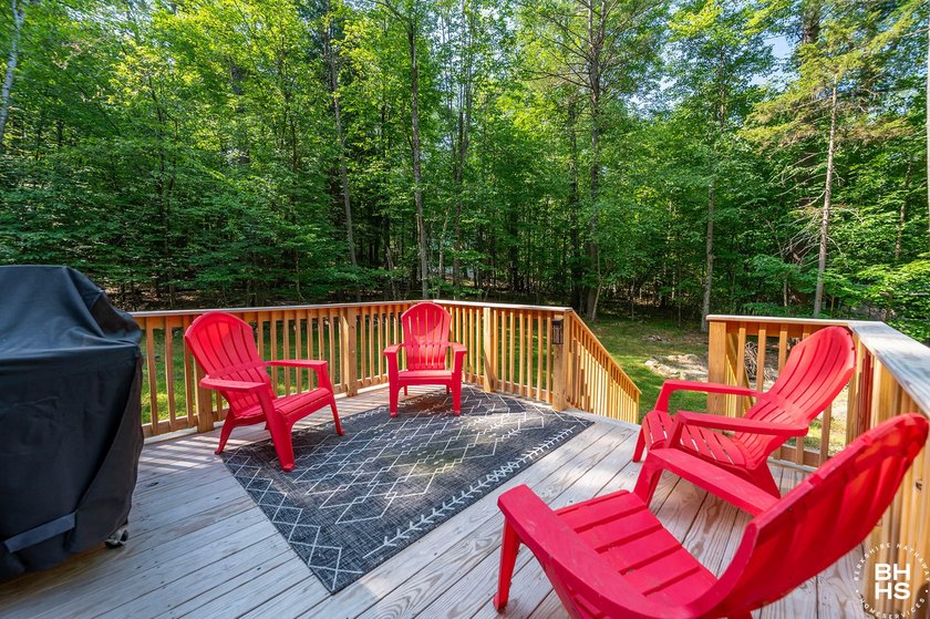 Beautifully renovated Adirondack chalet with no rental - photo 21