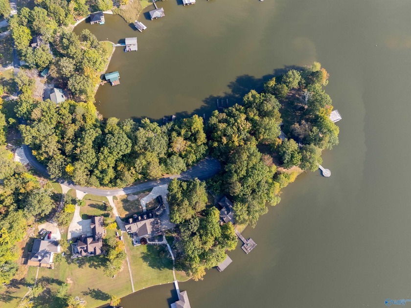 Lakefront living in a gated community on Weiss Lake! Just under - photo 11