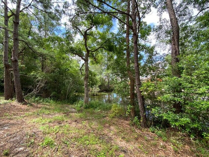 READY-TO-BUILD SINGLE FAMILY HOME LOT and PRICED TO SELL! - photo 14