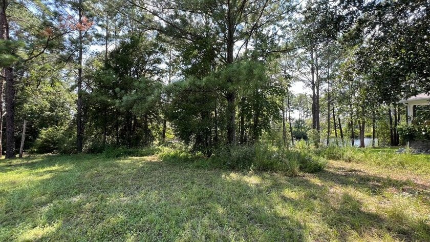 READY-TO-BUILD SINGLE FAMILY HOME LOT and PRICED TO SELL! - photo 17