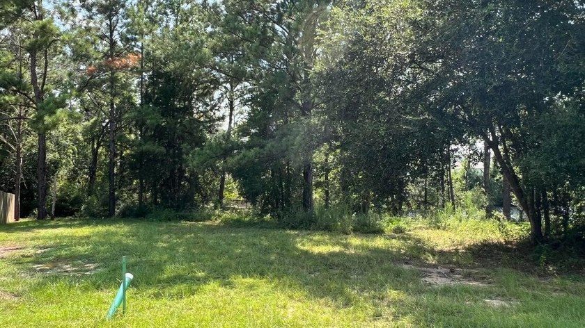 READY-TO-BUILD SINGLE FAMILY HOME LOT and PRICED TO SELL! - photo 21