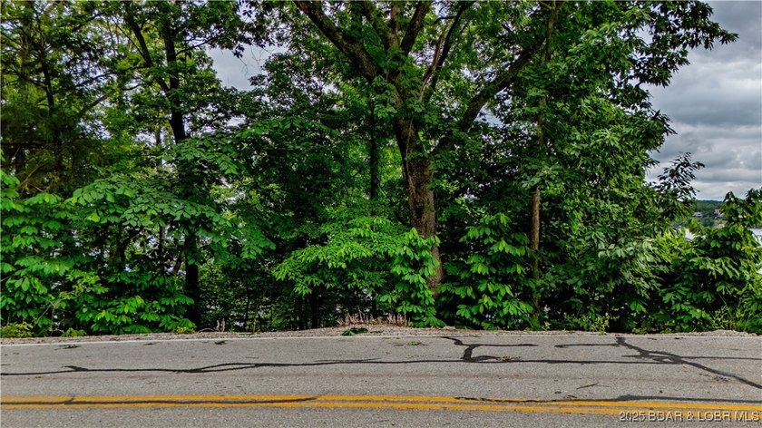 Build your dream lake home on this stunning lakefront lot - photo 9