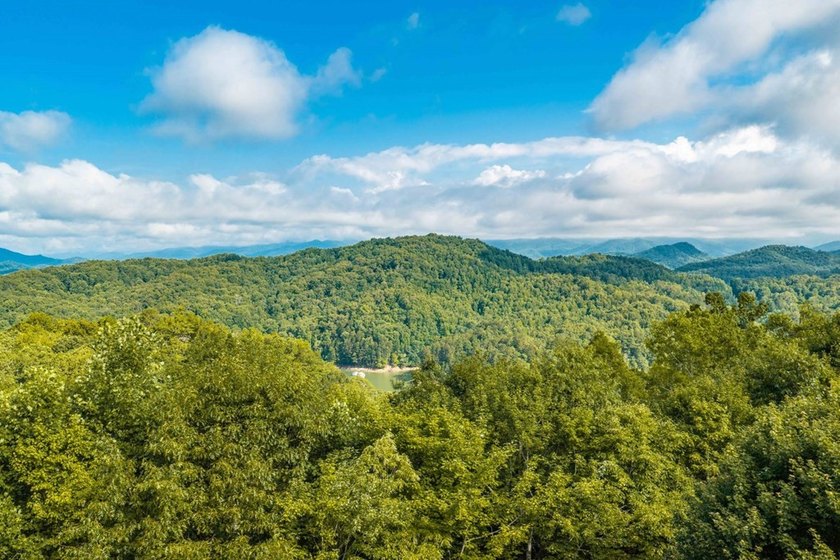 A rare opportunity to own one of Fontana Lake Estates' premier - photo 45