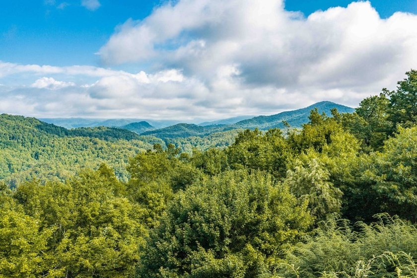 A rare opportunity to own one of Fontana Lake Estates' premier - photo 46