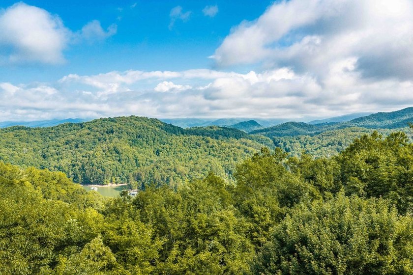 A rare opportunity to own one of Fontana Lake Estates' premier - photo 47