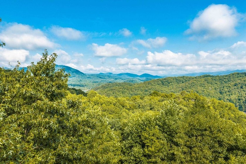 A rare opportunity to own one of Fontana Lake Estates' premier - photo 48