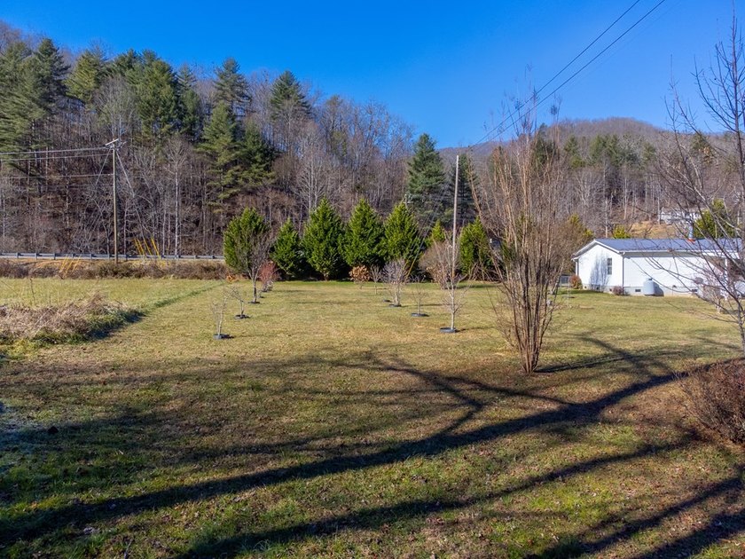 This spacious and beautifully updated 3 bedroom with a bonus - photo 38