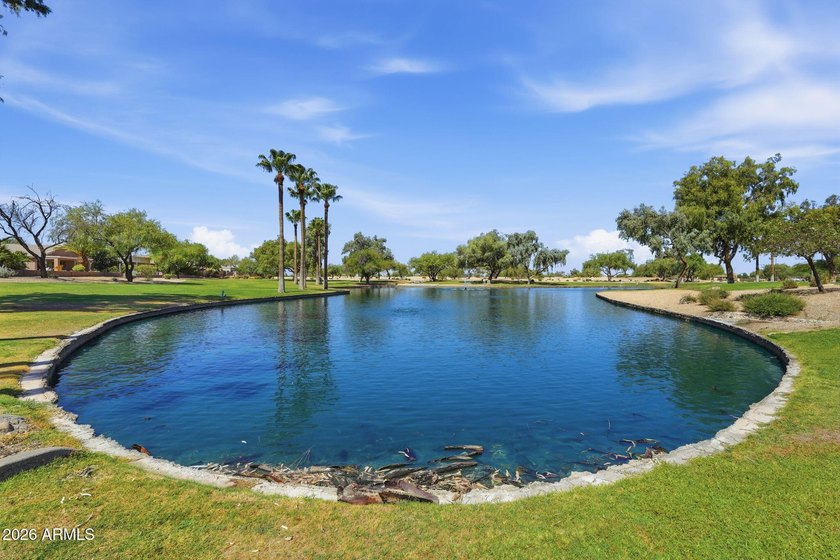 Located in the sought after Solera 55+ gated community, this - photo 24