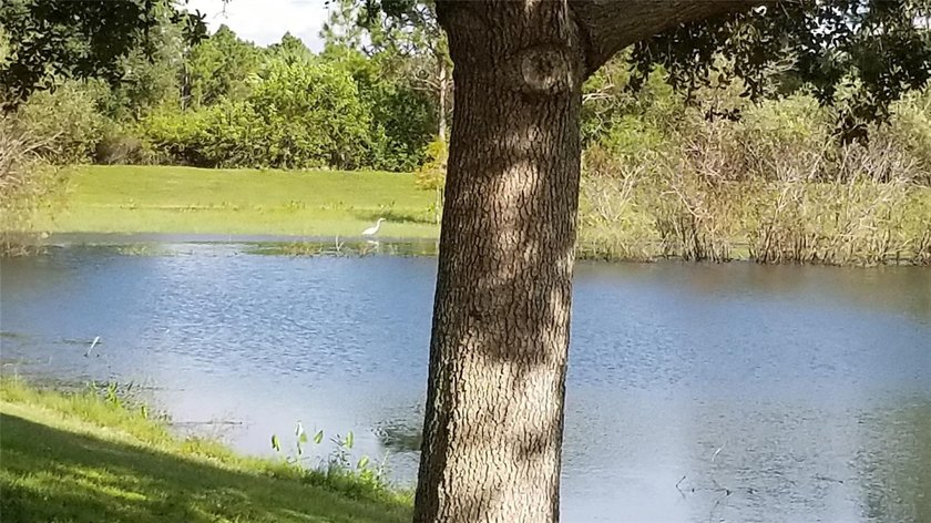 No HOAs with fees or deed restrictions or CDDs. Not on the North - photo 32