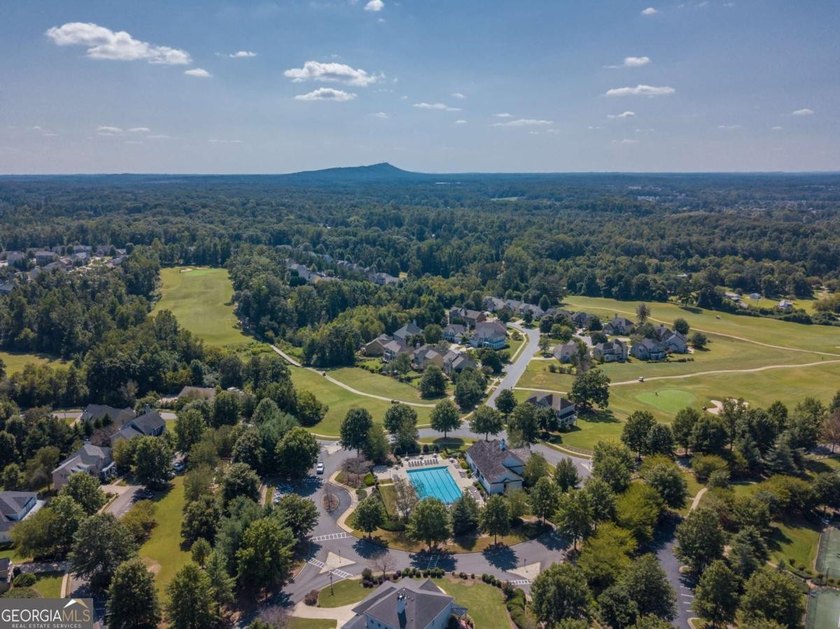 Welcome to Hampton Golf Village, one of North Forsyth's premier - photo 45