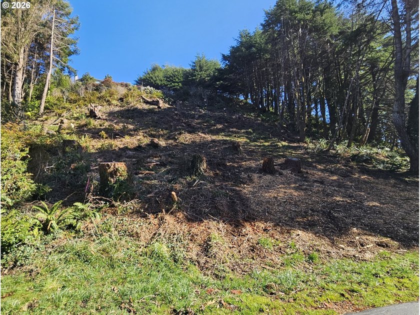 ATTENTION BUILDERS &amp; INVESTORS: The sellers are open to - photo 4