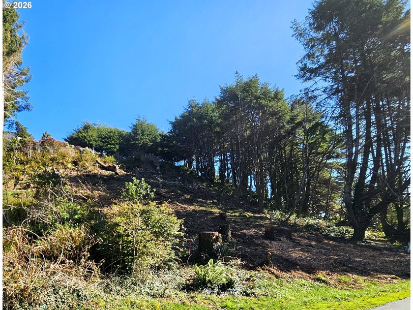 ATTENTION BUILDERS &amp; INVESTORS: The sellers are open to - photo 7