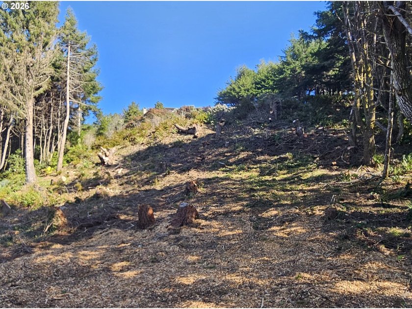 ATTENTION BUILDERS &amp; INVESTORS: The sellers are open to - photo 8