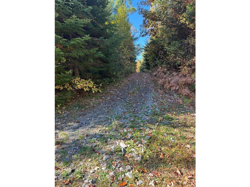 If you've been dreaming of a private Maine getaway surrounded by - photo 31