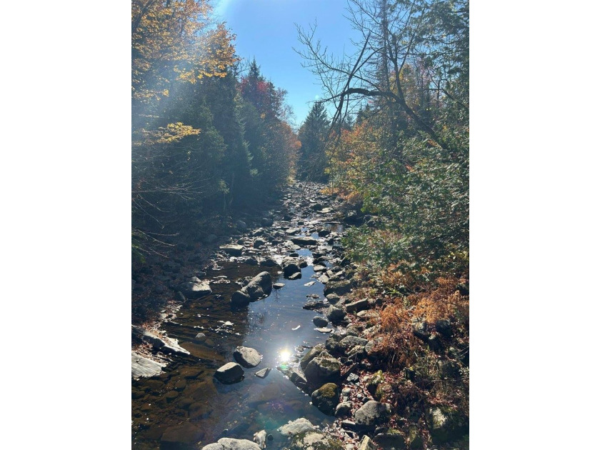 If you've been dreaming of a private Maine getaway surrounded by - photo 35